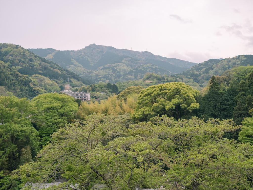Surrounding environment