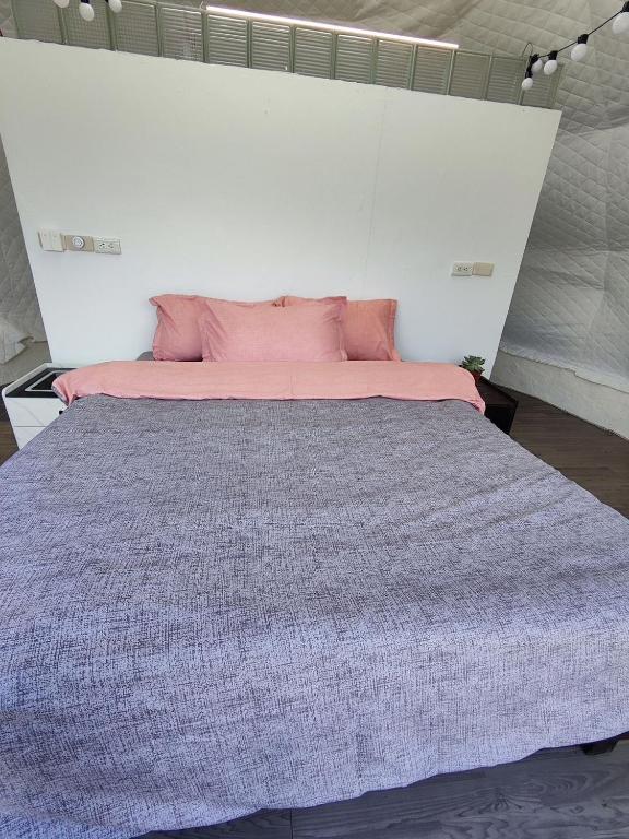 Villa Relax  清境白熊屋 photo
