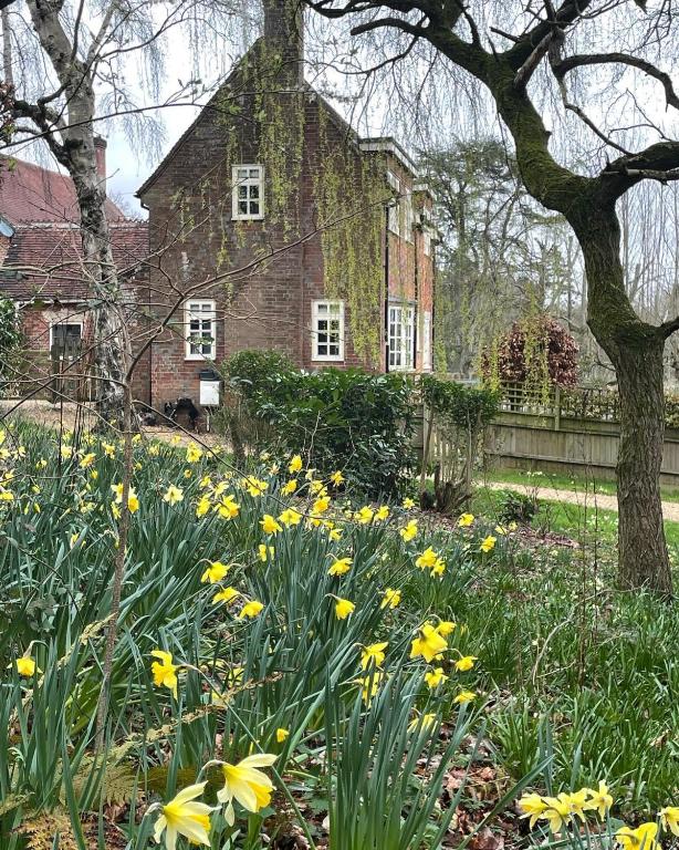 The Old Coach House