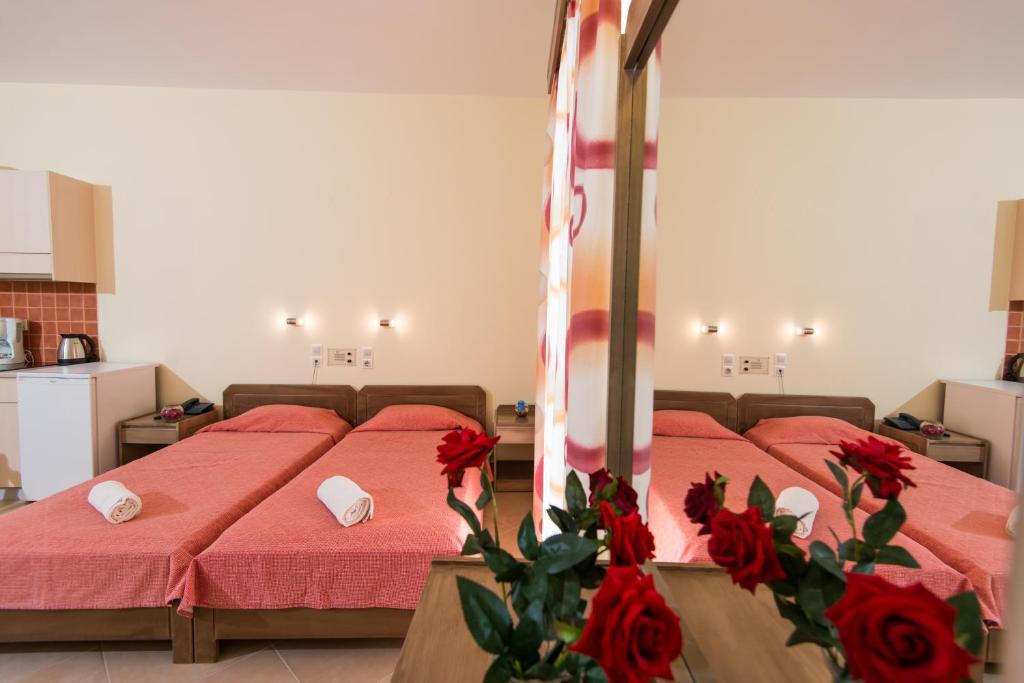 Daisy Hotel Apartments photo