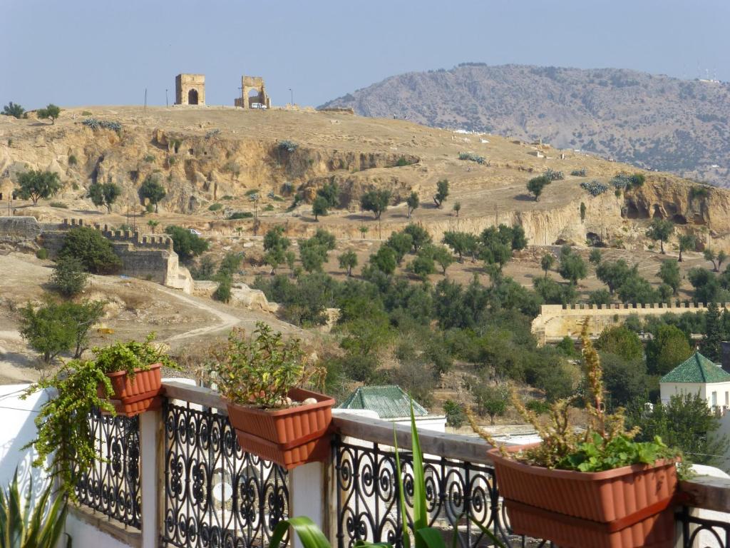 View