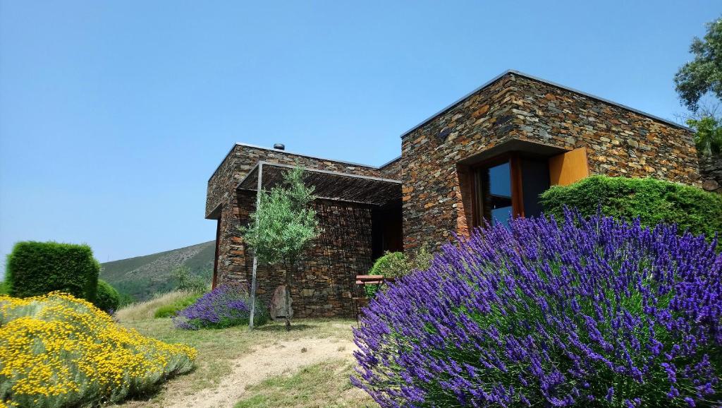 InXisto Lodges photo