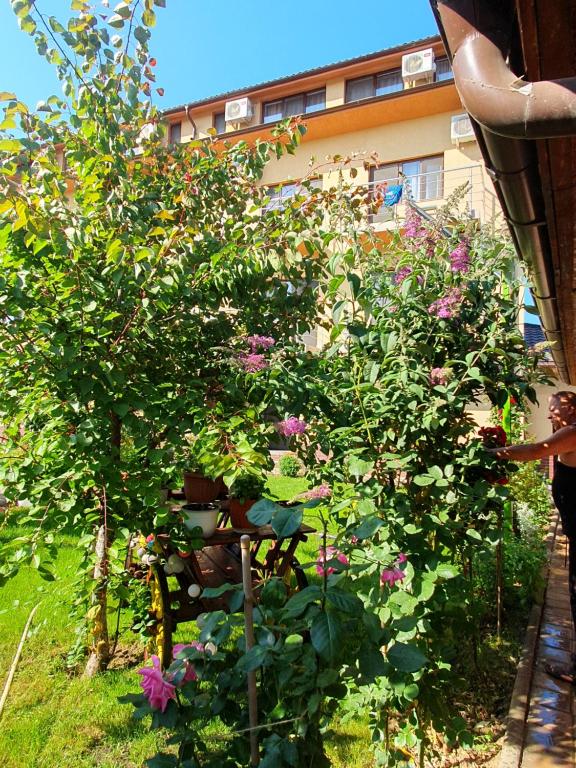 Casa Roua photo