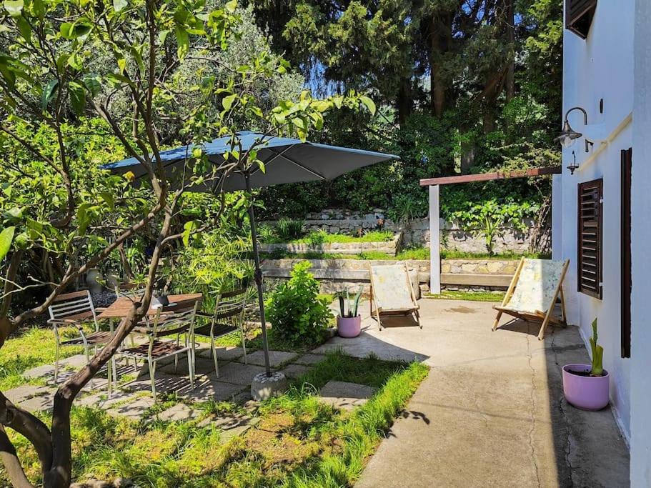 guest house BULJARICA - 4