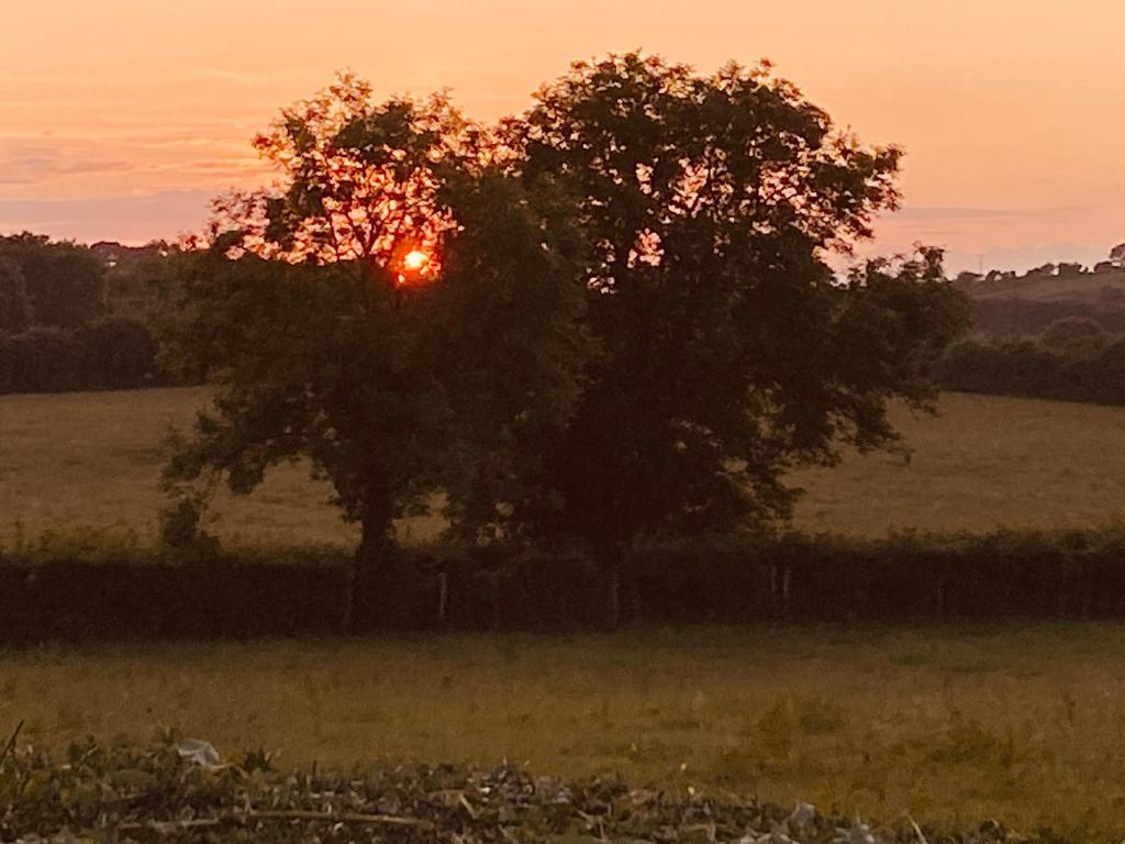 Long View Guest Accommodation, Downpatrick