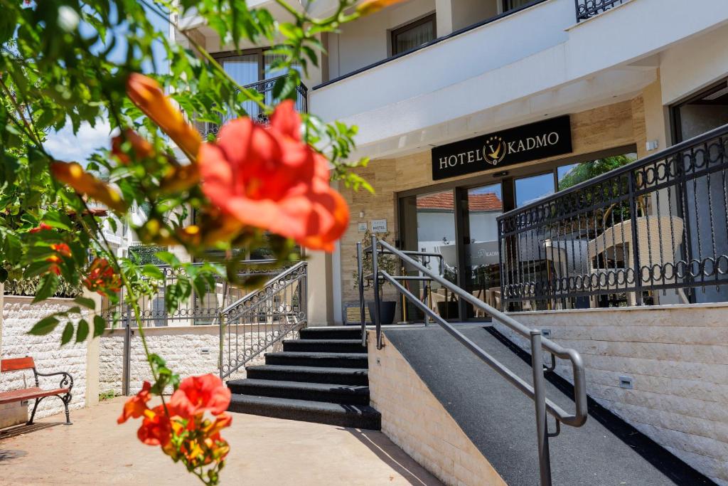 Hotel Kadmo by Aycon - 1