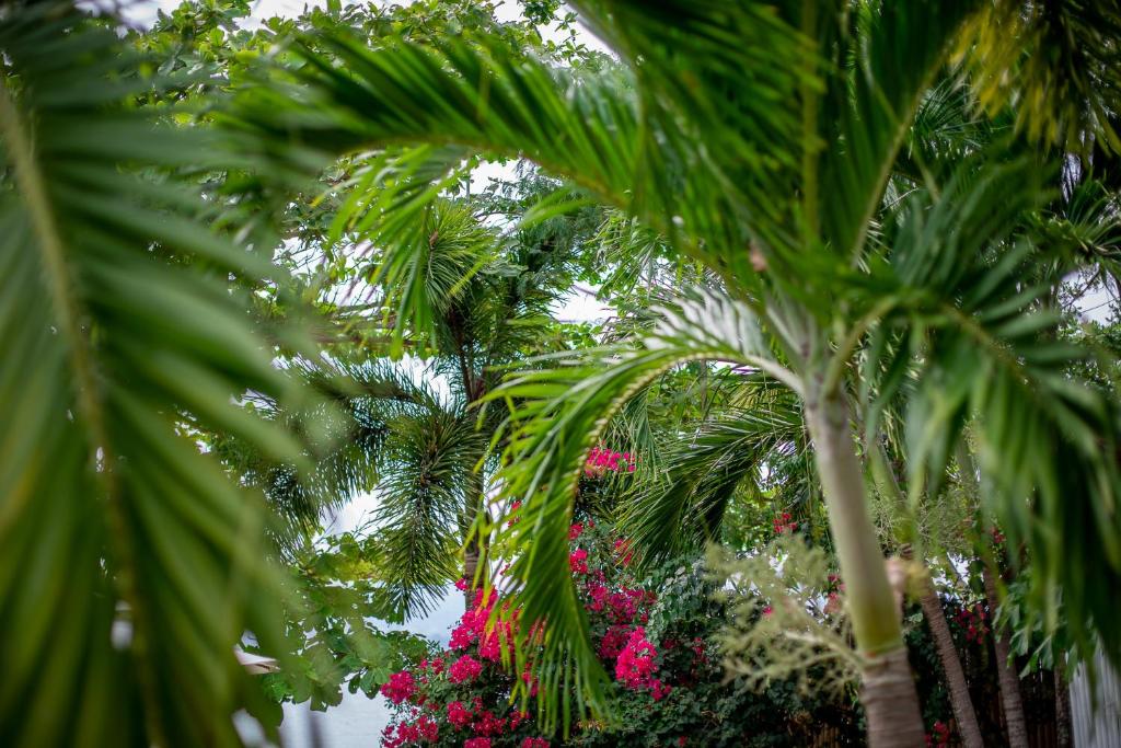 Surrounding environment