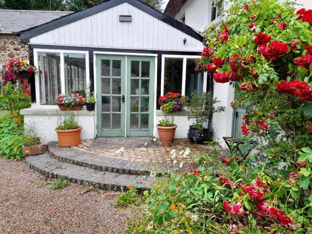 Berwickhall Apartment, Craigavon