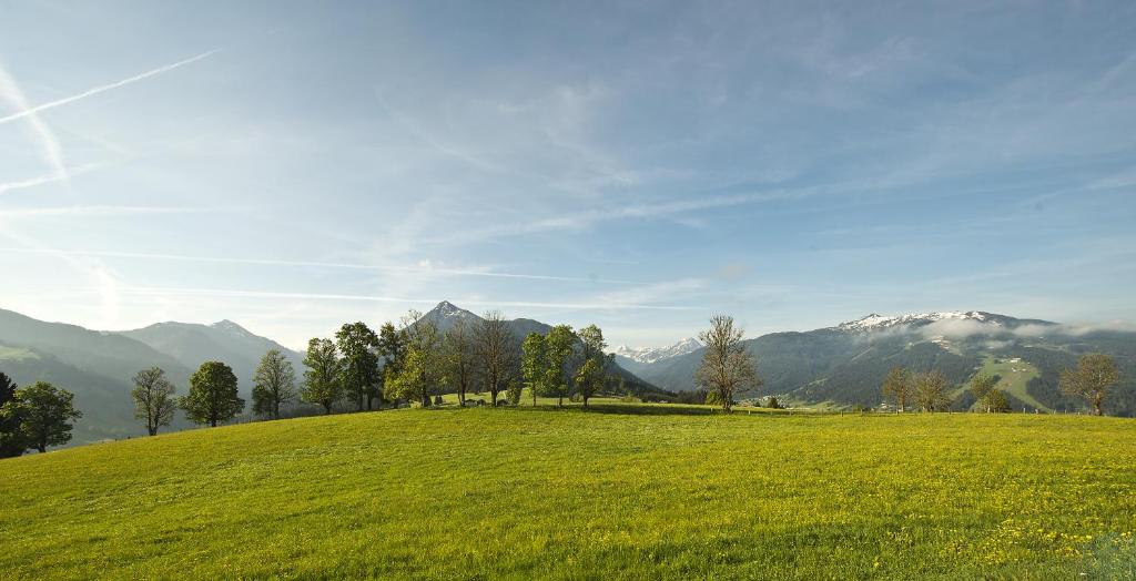 Surrounding environment