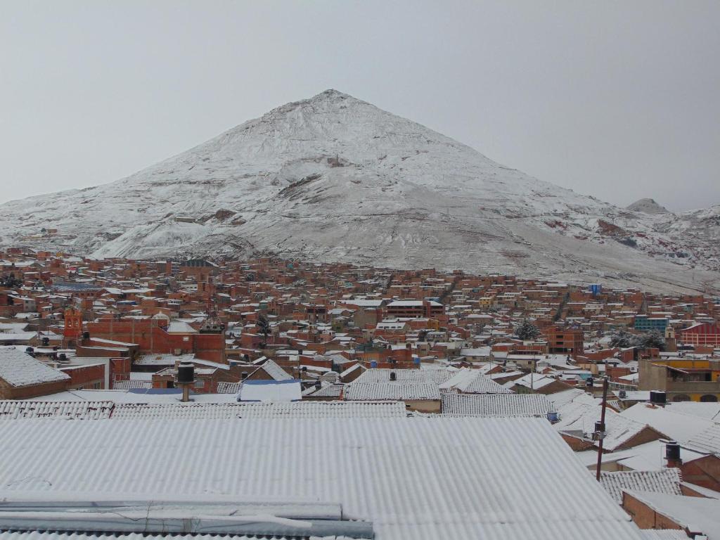 EUCALYPTUS POTOSI only dollars or euros are accepted - 4