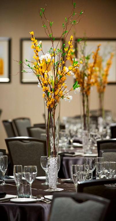 Meeting room / ballrooms