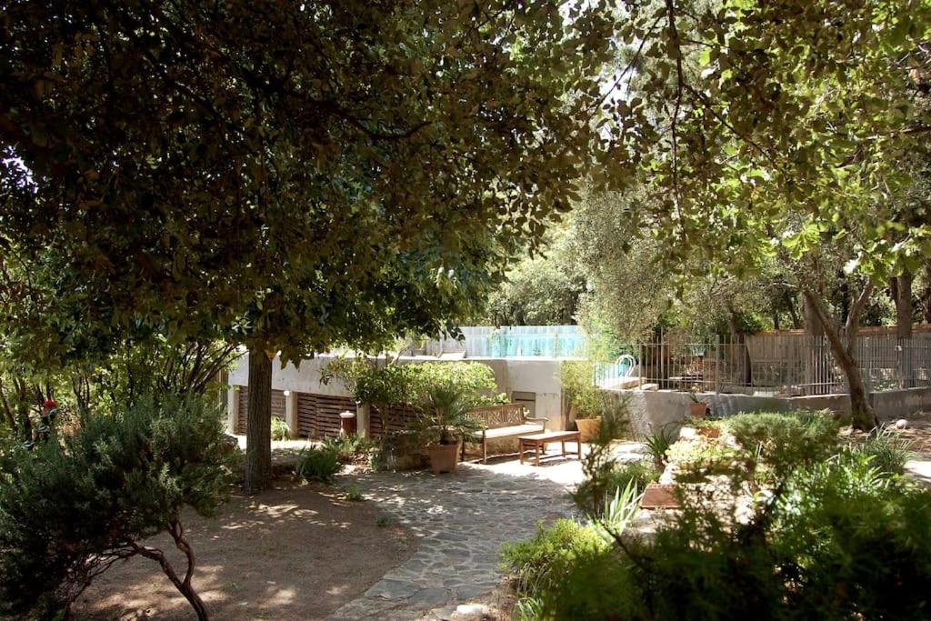 Luxurious bastidon with swimming pool and jacuzzi - 5