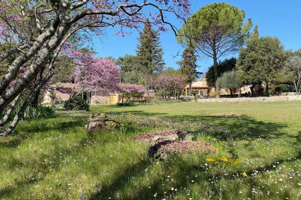 Luxurious bastidon with swimming pool and jacuzzi - 4