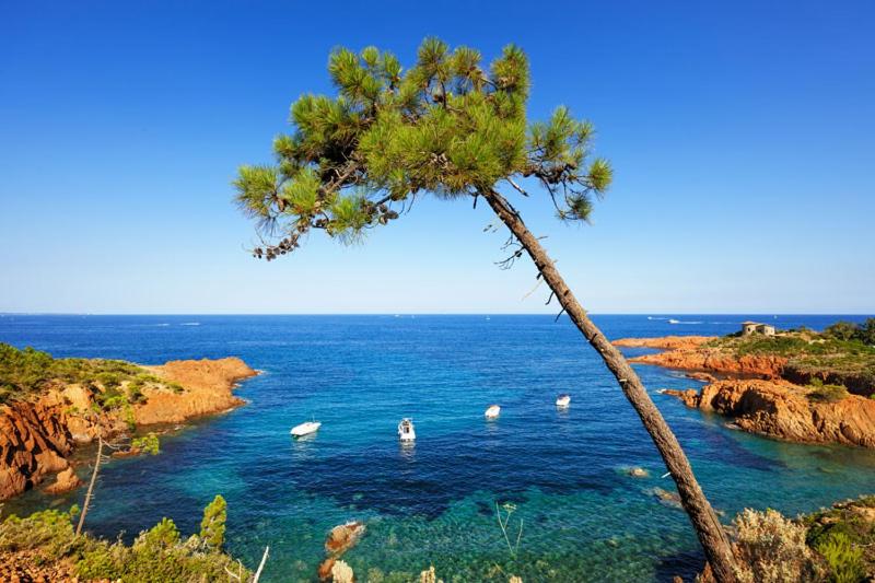 Location estival parfaite : Studio à 50 mètres de la plage, offrant une magnifique vue mer - 4