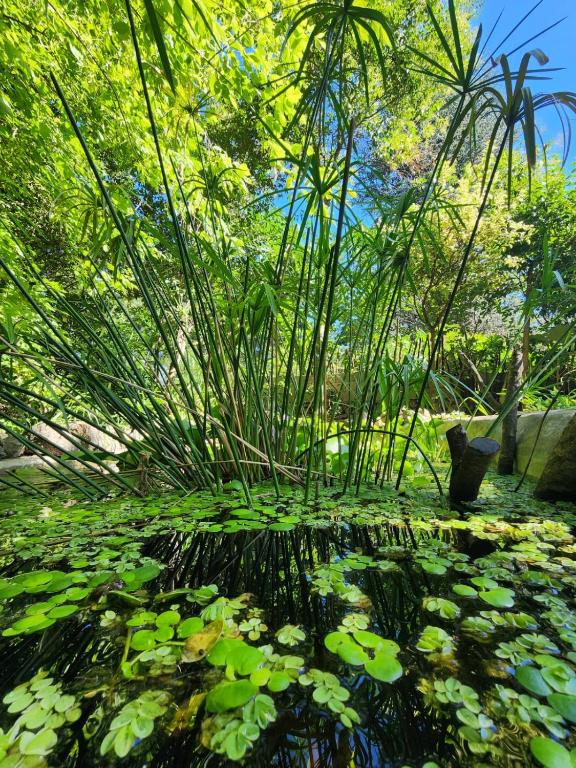 CASA EN VERTIENTES DE LA GRANJA - 2