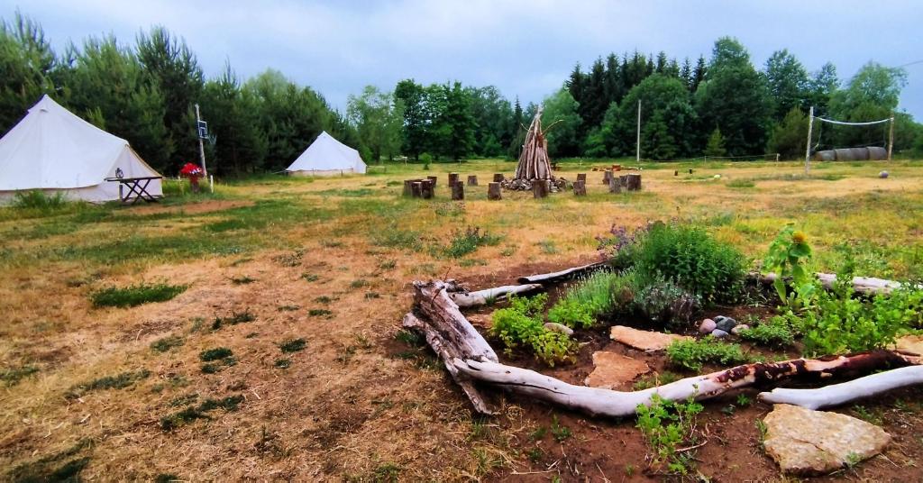 Mereaare Glamping ja Rannamaja photo