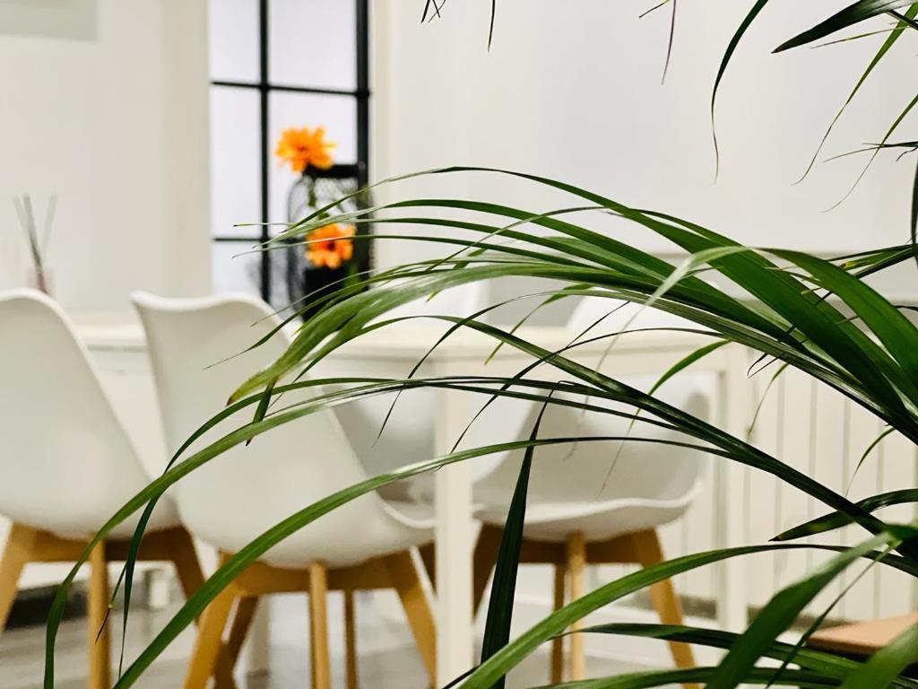 BEST FLAT NEAR REAL MADRID STADIUM, Мадрид