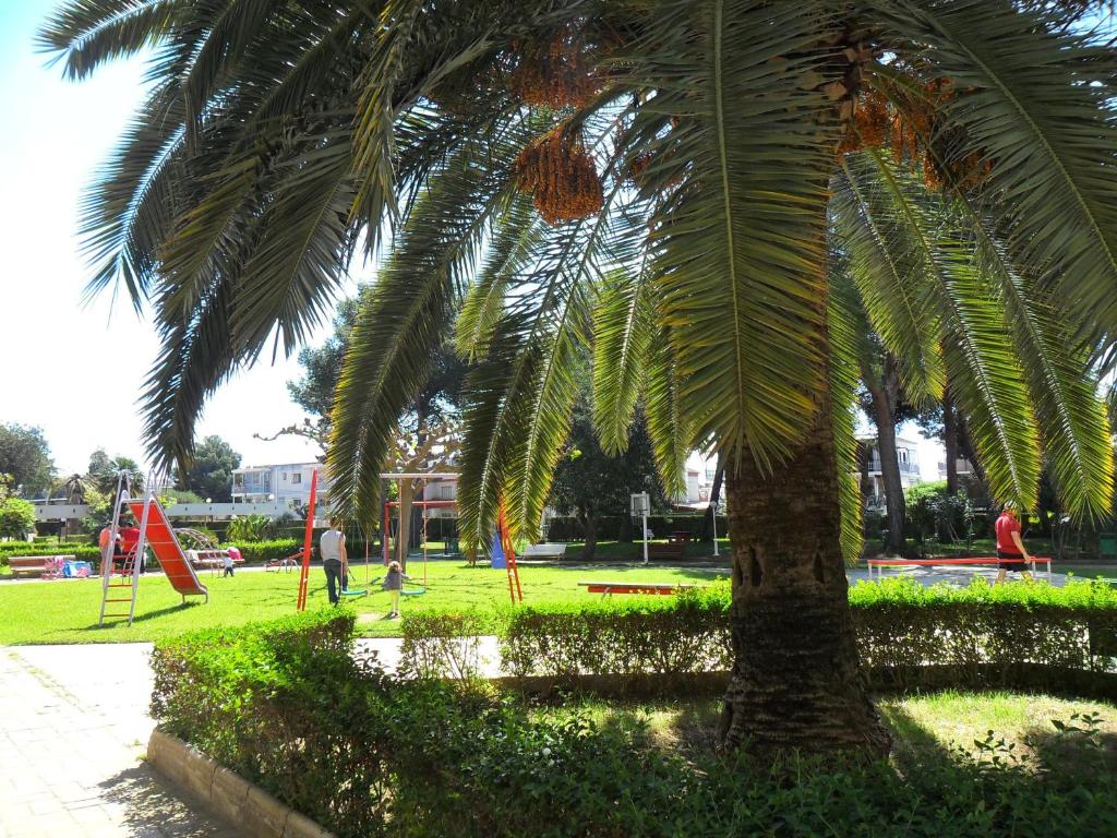 Apartamento Vistamar - 5