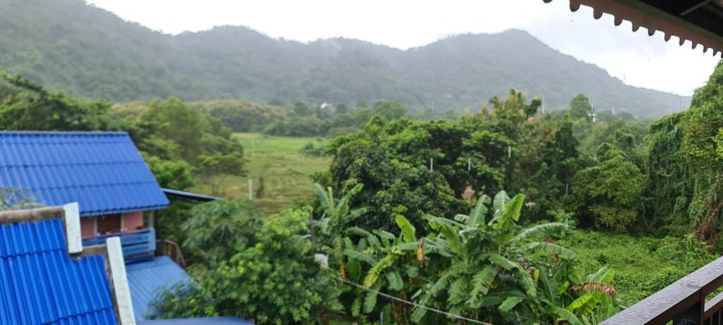 Surrounding environment