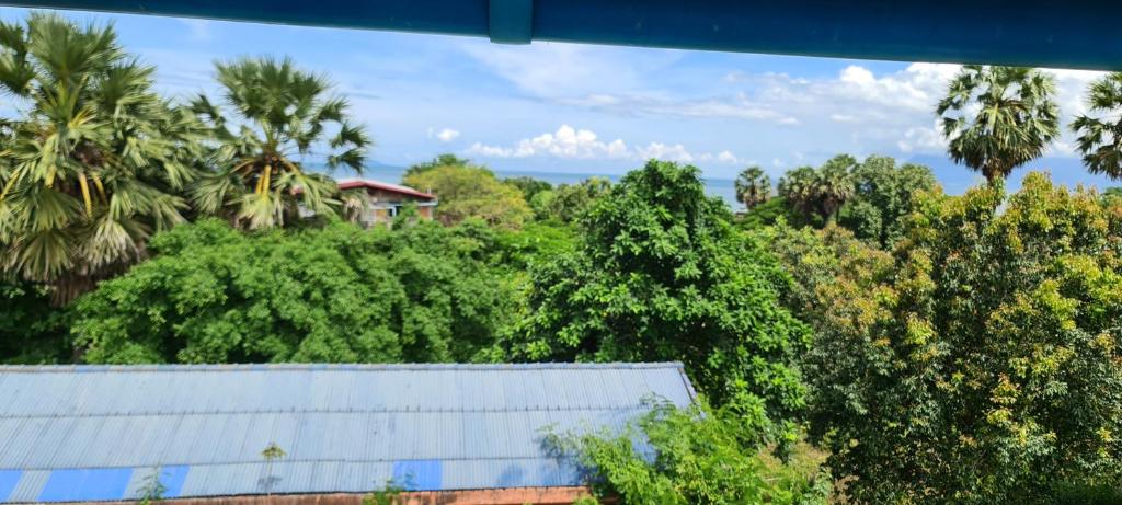Surrounding environment
