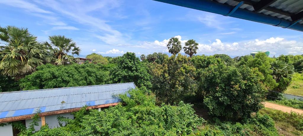 Surrounding environment