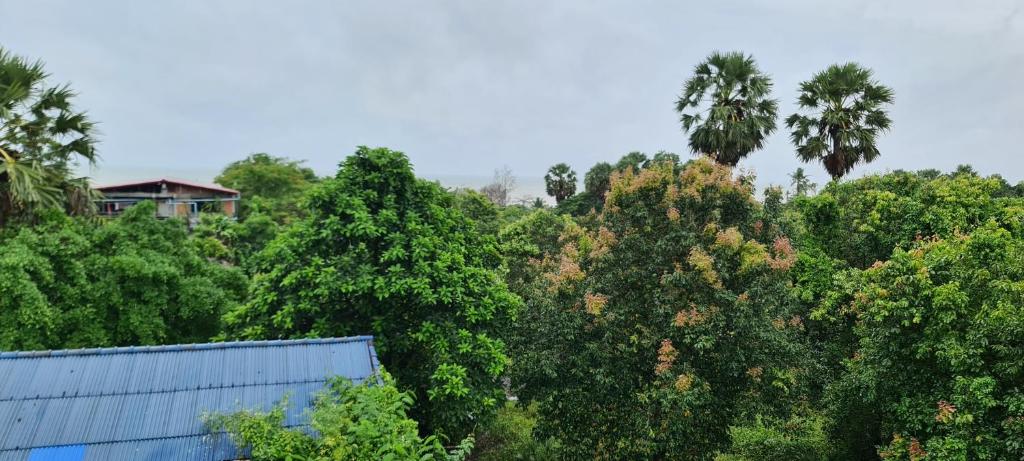 Surrounding environment
