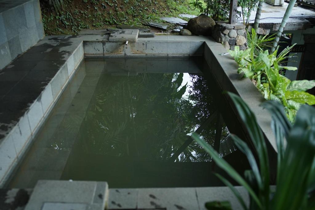 Tirta Arsanta Hot Springs & Villa