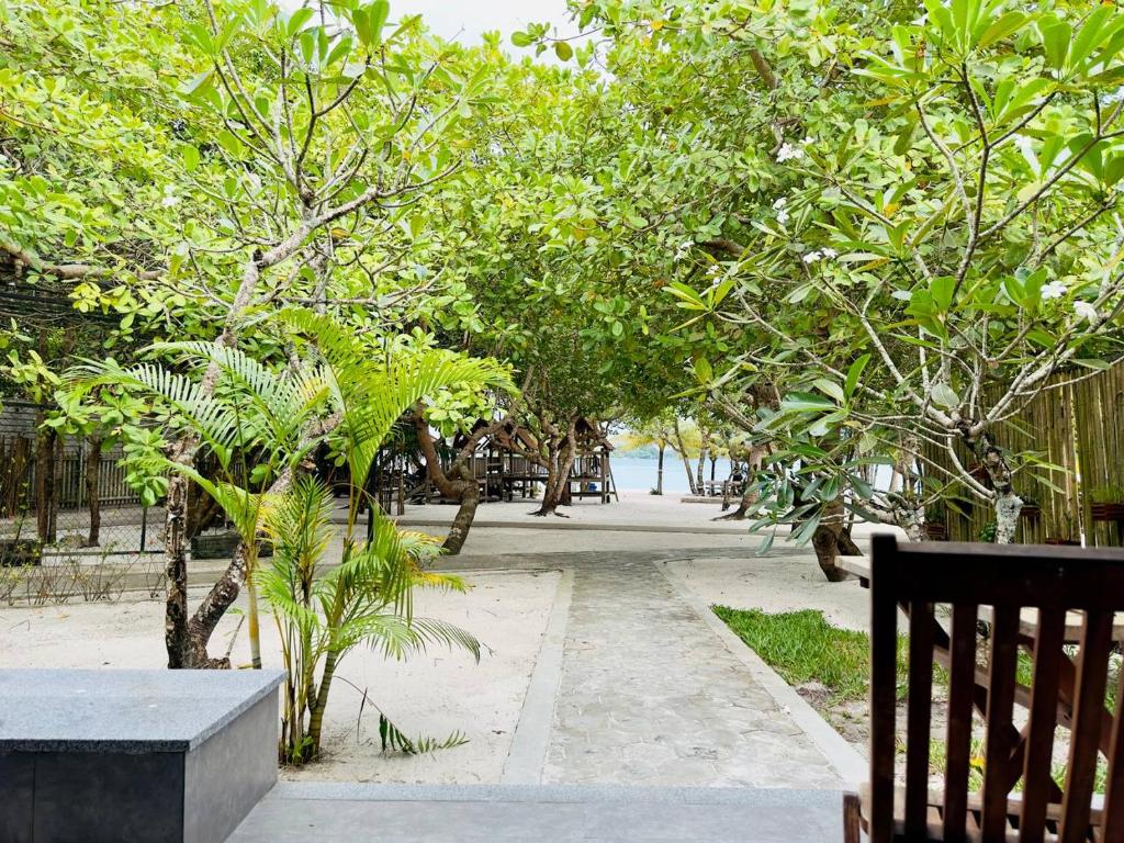 Surrounding environment
