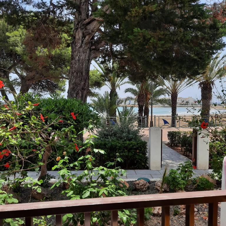 Apartamento frente al mar - 1
