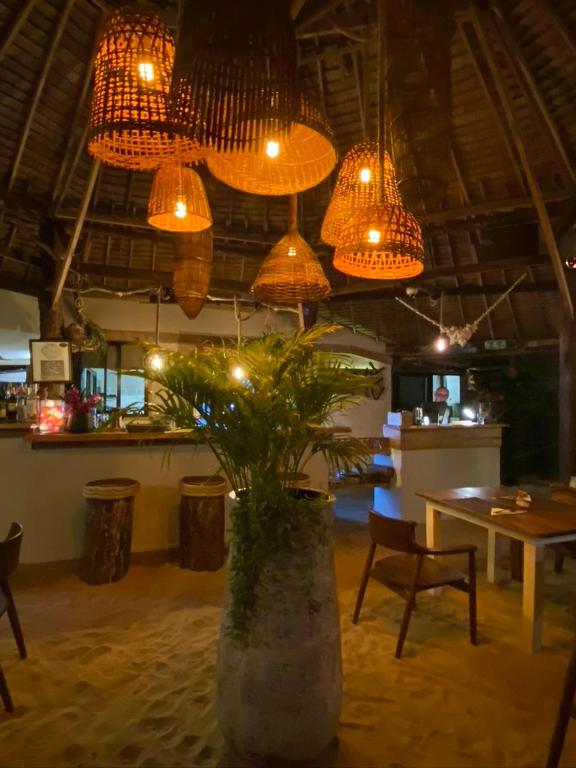 KALUME' Eco Boutique Resort-Adult only
