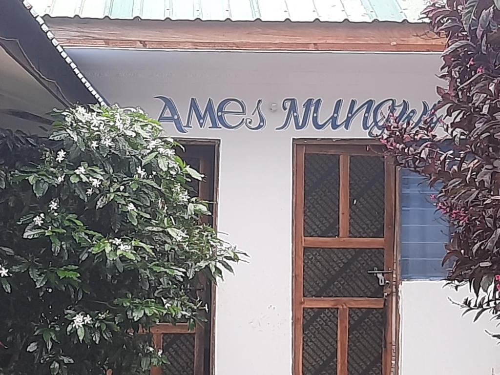 Ames Nungwi photo