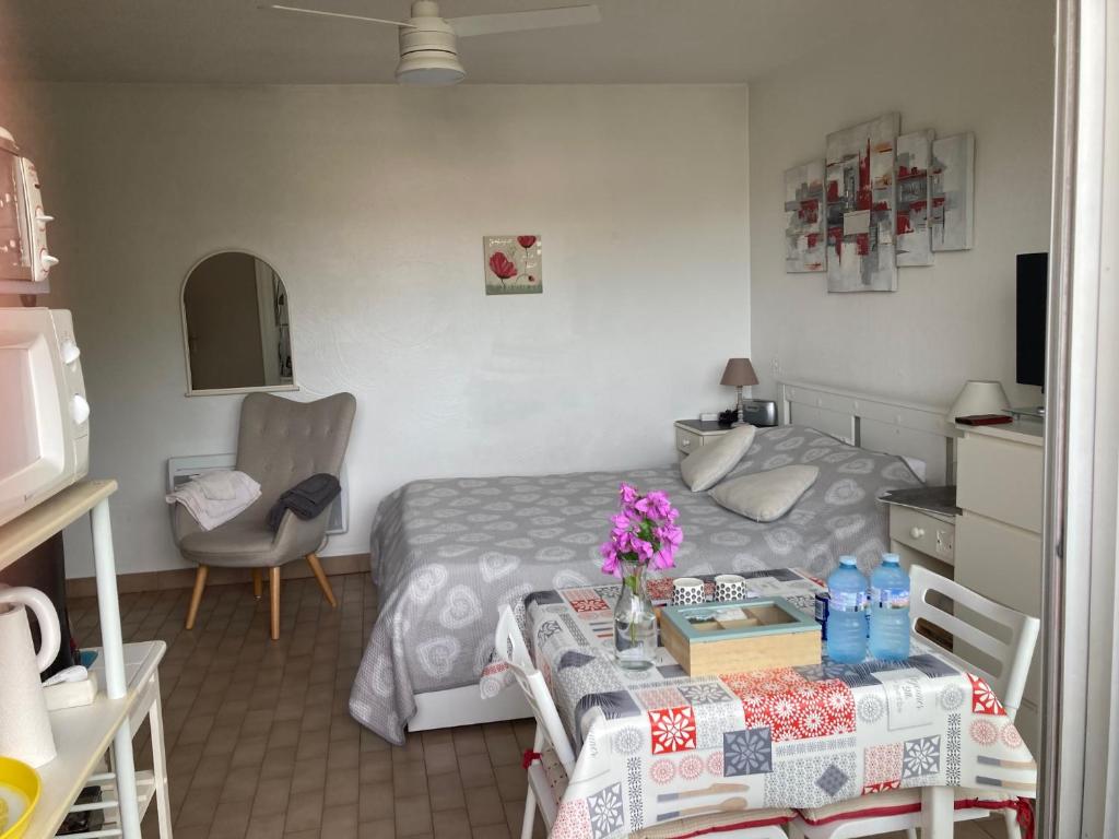STUDIO CONFORT ET LUMINEUX avec LOGGIA ET PARKING - 3