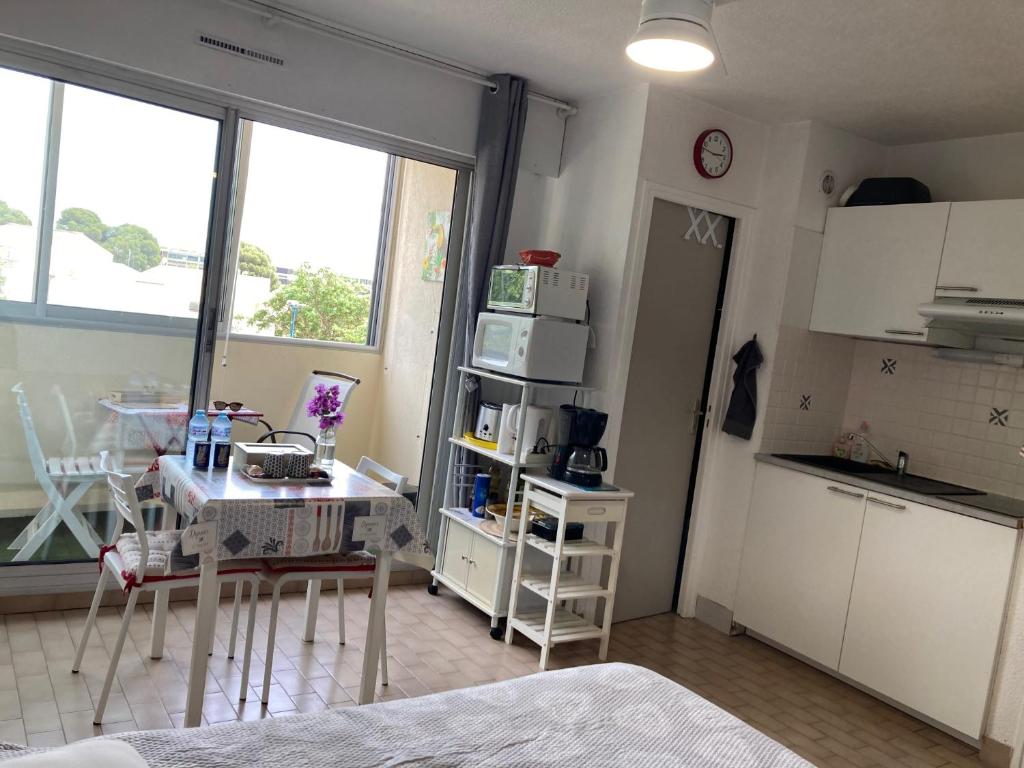 STUDIO CONFORT ET LUMINEUX avec LOGGIA ET PARKING - 4