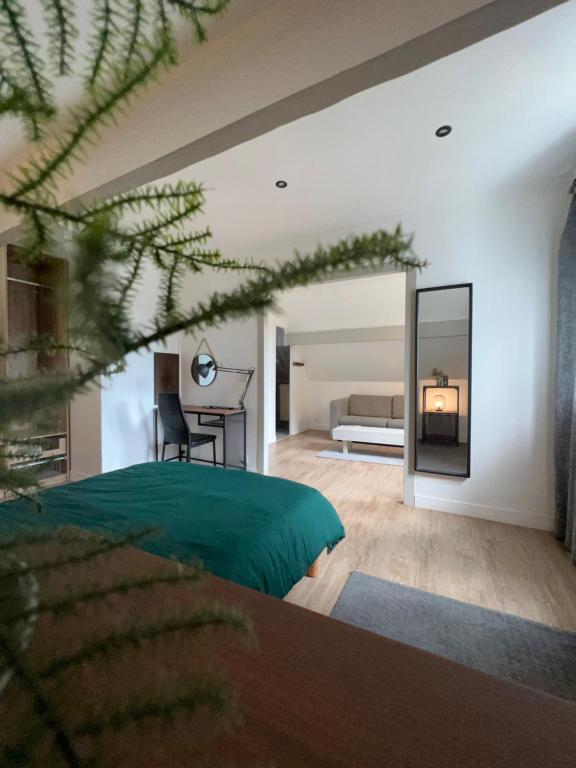 Superbe logement entre Paris et Disneyland