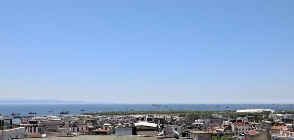 周辺案内