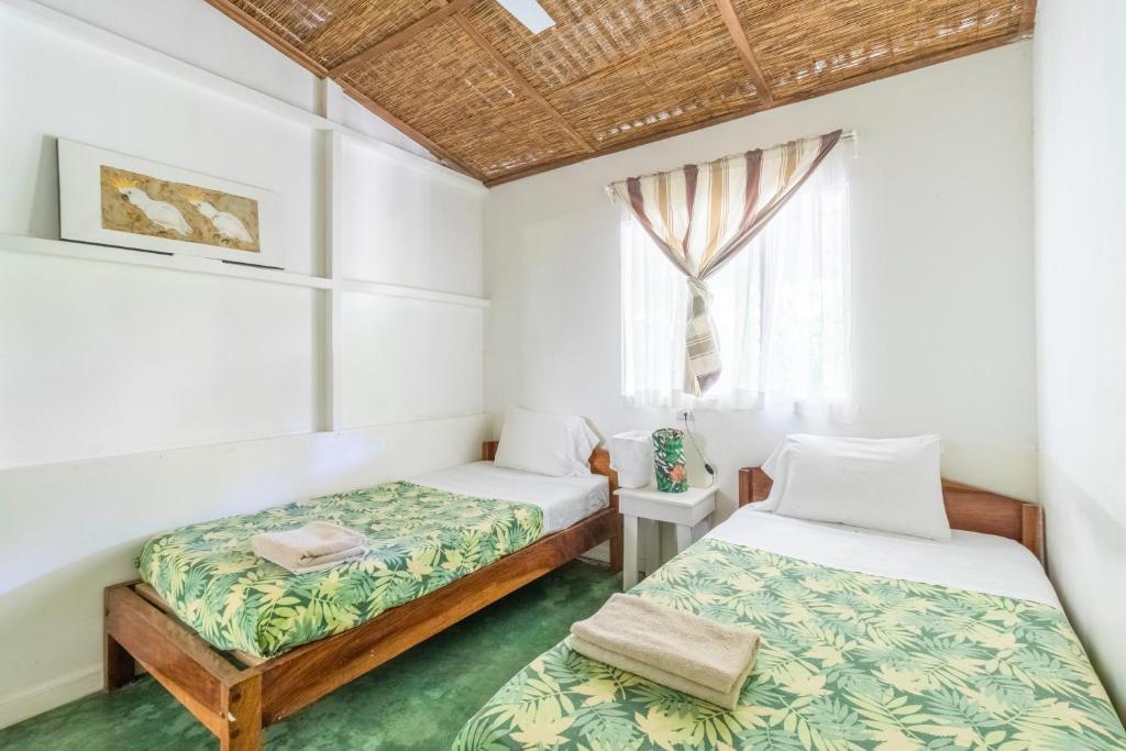 Bajo el Arbol B&B photo