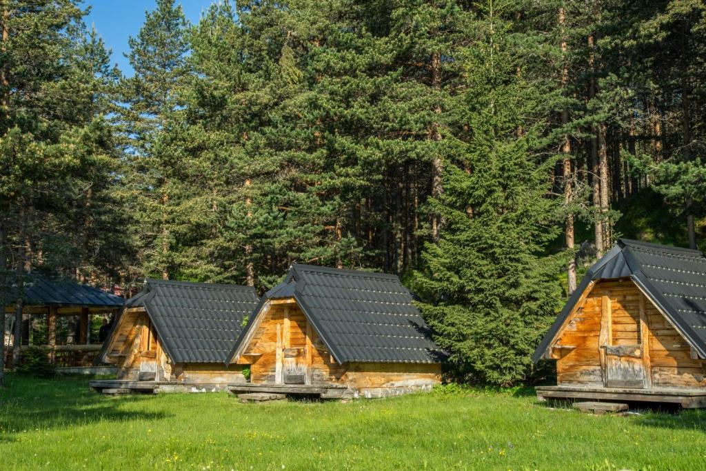 Eco Camp Chalets pod Gorom — Hotel in Zabljak