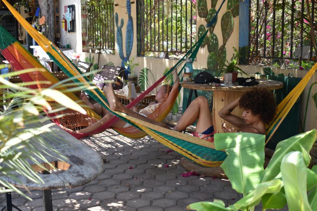 Nopalero Hostel - 4