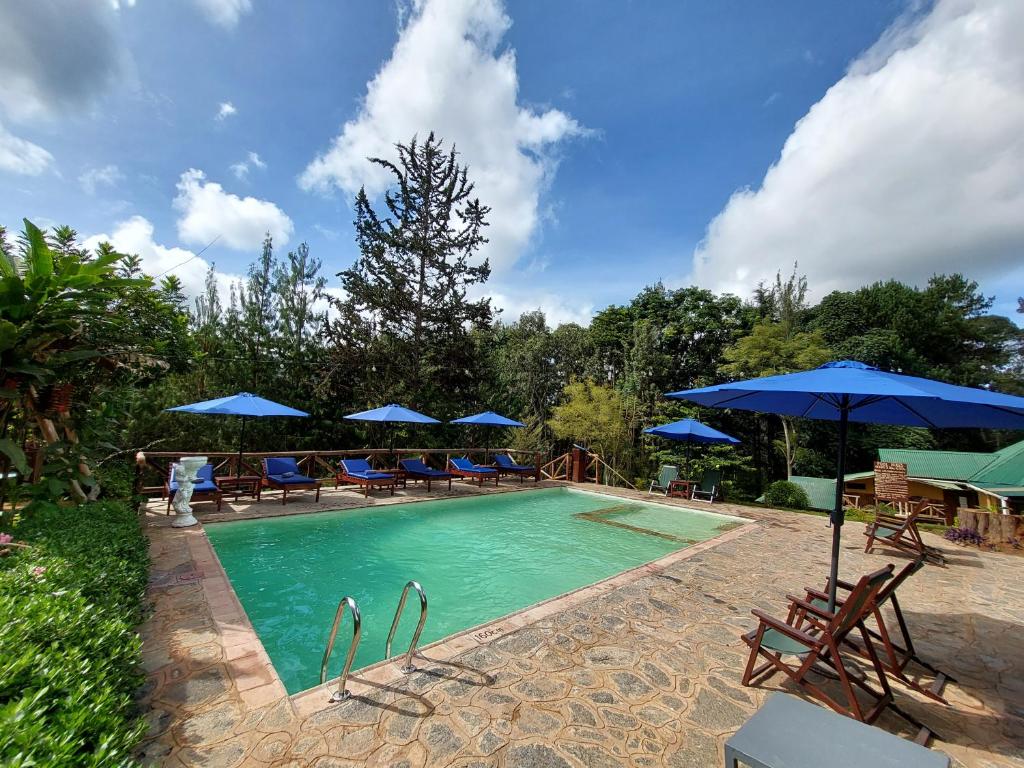 Lawns Hotel photo