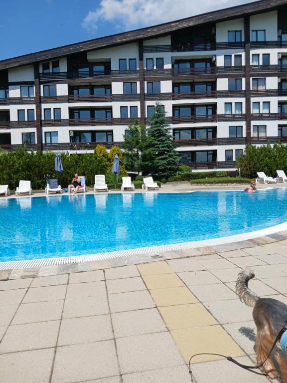 Аспен валей С420, Razlog