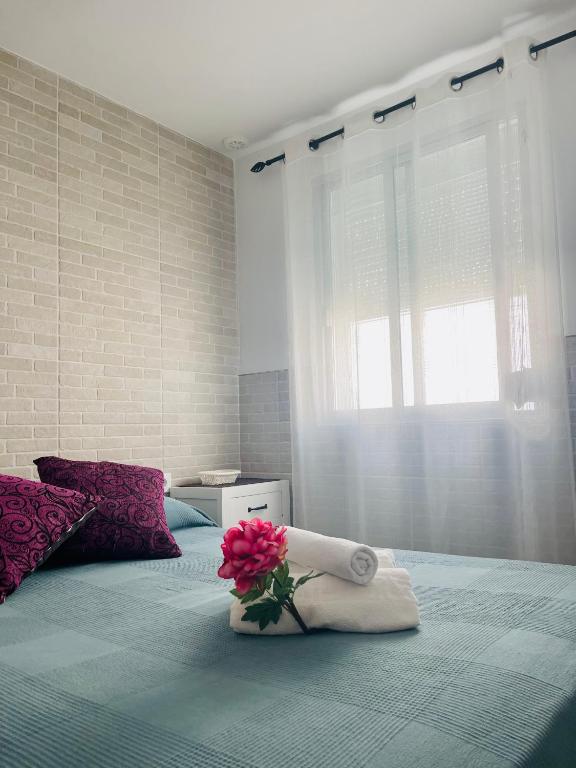 AITA CASA BARBATE - 5