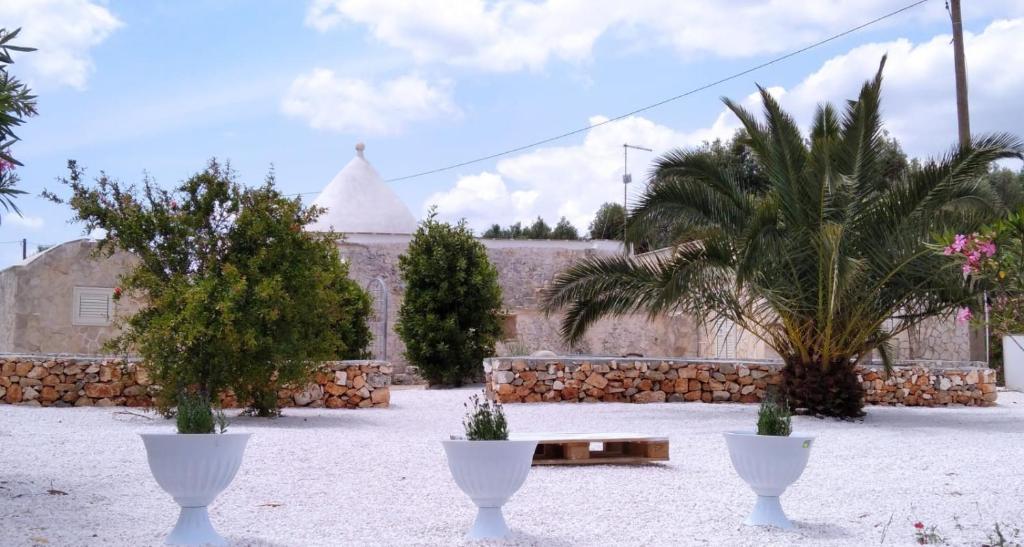 Trullo Bianco Ulivo - 4
