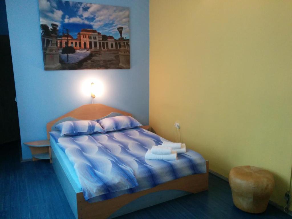 Pensiunea Casa Raul photo