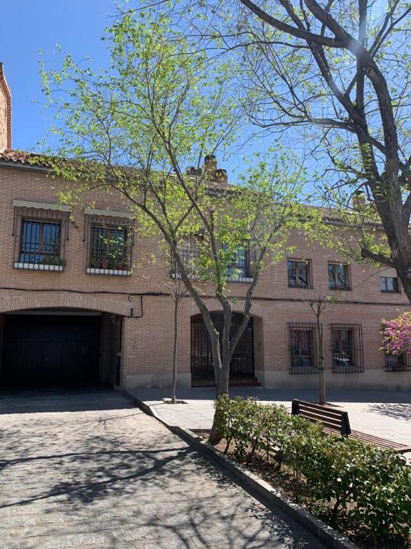 Vega del Tajo- CON PARKING GRATIS - 5