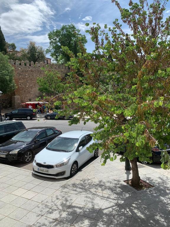 Vega del Tajo- CON PARKING GRATIS - 2