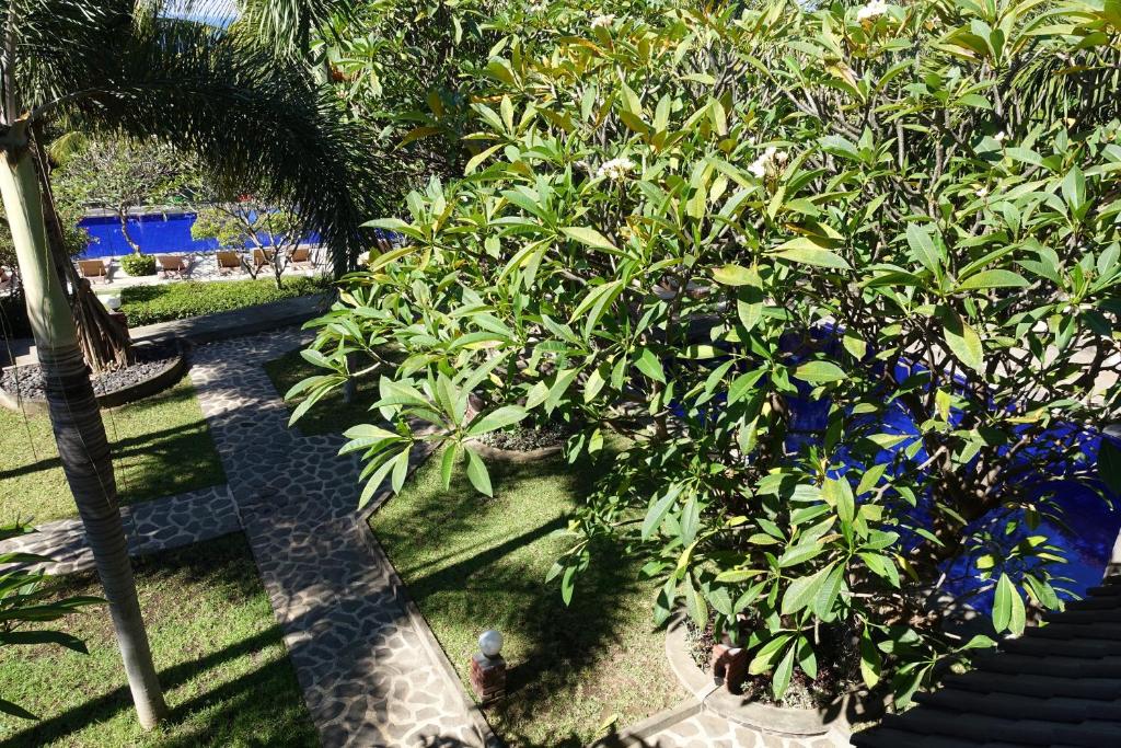 バルコニー/テラス