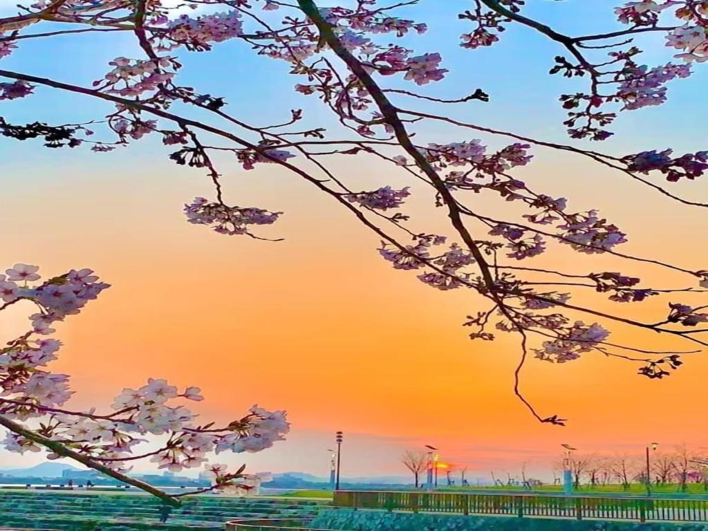 Surrounding environment