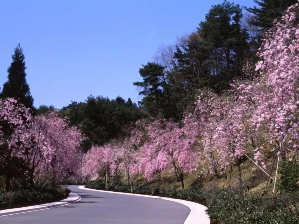 Surrounding environment