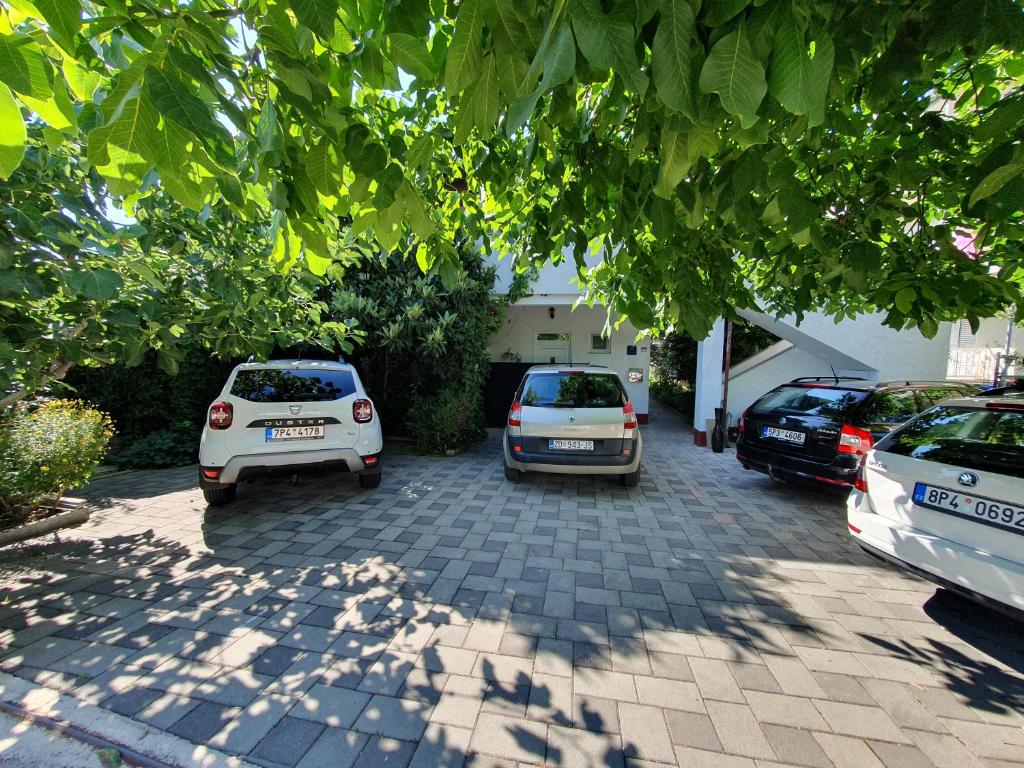 Niko apartment, Biograd na Moru