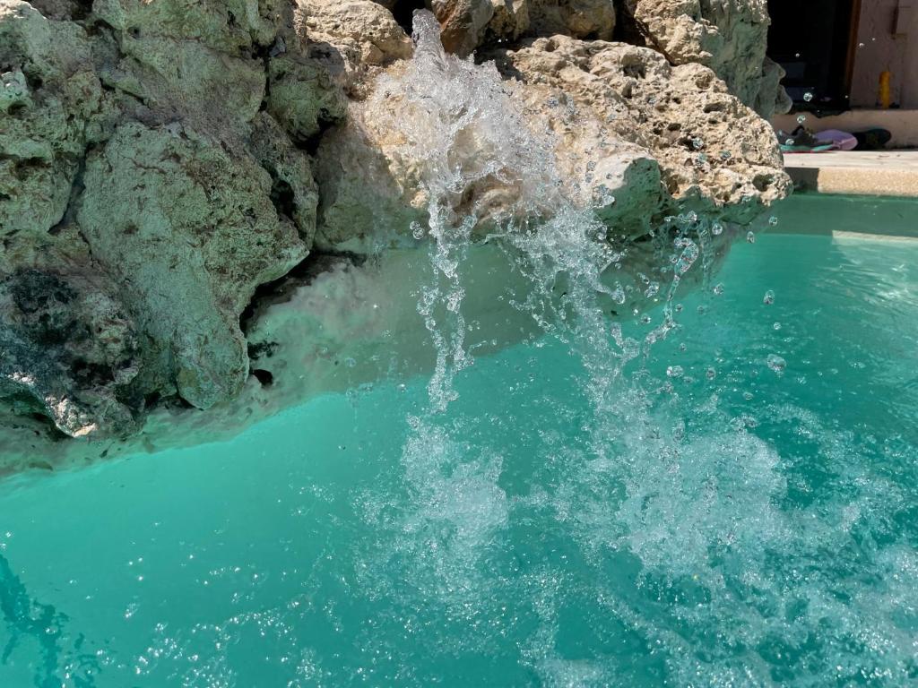 Domaine des Tuilières avec piscine - 2